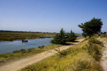 part of the island of noirmoutier