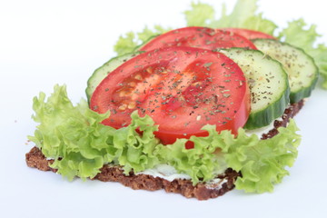 Brot mit Salat, Gurke und Tomaten