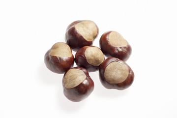 Kastanien  Chestnuts  Marrons