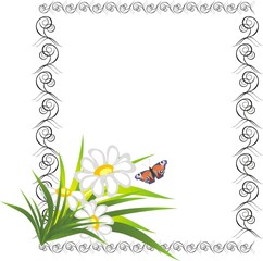 Chamomiles and butterfly in the decorative frame. Vector