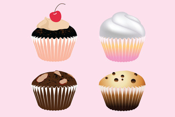 Muffin Illustrations