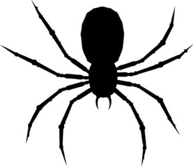 One arachnid.
