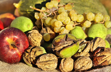 Walnuts and other fruits.