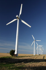 Fototapeta premium Windräder auf einem Feld in Nordvorpommern