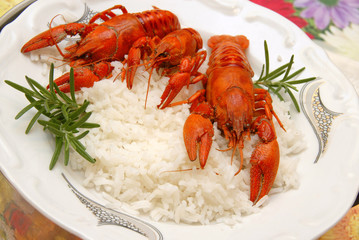 Crayfish meal