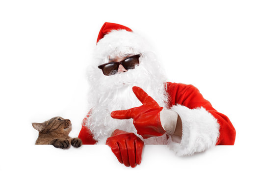 santa claus and a cat holding an advertising sign