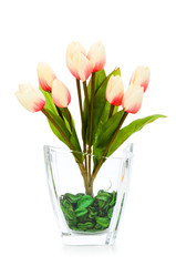 Colourful tulips isolated on the white background