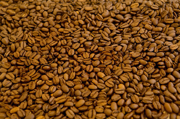 coffee beans