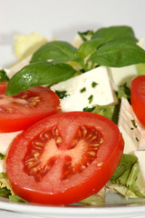 mediterranean salad with organic tomato and herbs