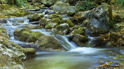 . The beautiful running water in forest  river.....