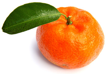 mandarine bio