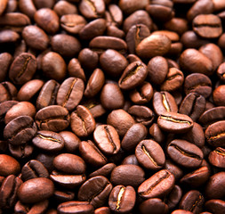 coffee grains close up