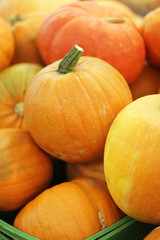 Pumpkins in supermarket.