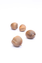 Hazelnuts