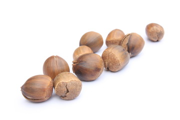 Hazelnuts