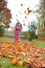 Little girl rake autumn leaves in garden