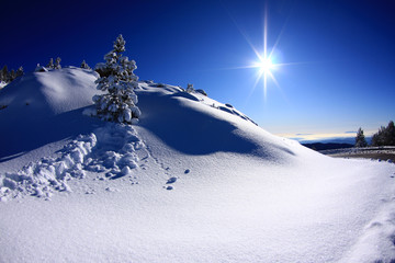Paisaje nevado de alta montaña © artesenc