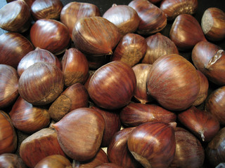 castagne