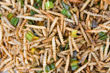 A pile of deep fried caterpillars - a snack often used in Asia