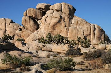 Joshua Tree National Park, California, USA