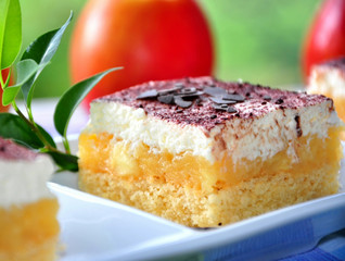 Apfelkuchen