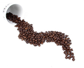 Coffee bean with white cup