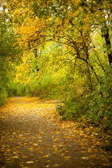 Naklejka premium Autumn