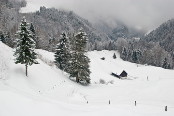 Snowy Winter Landscape