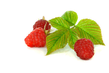 Himbeeren