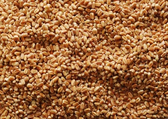 Foto op Canvas wheat grains background © Ionescu Bogdan