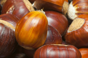 horizontal composition of stripey chestnuts
