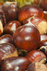 vertical composition of sweet chestnuts freshly collected