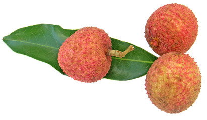litchi