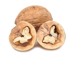 walnut