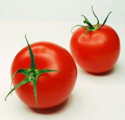 tomatoes