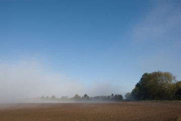 Obraz premium Herbstnebel