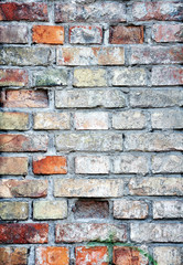 Brick wall, different colors, great background