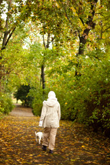 Fototapeta premium Autumn