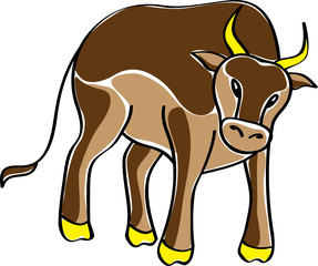 The illustration of bull