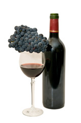 Obraz premium Vino 32
