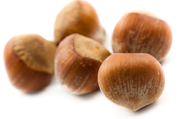 hazelnut