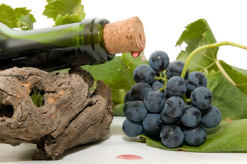 Vino 46