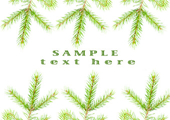 green fir branches with space for your text .