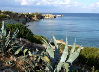 morskie wybrzeże © GKor