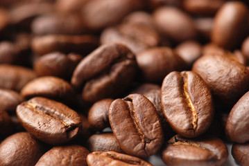 coffee bean