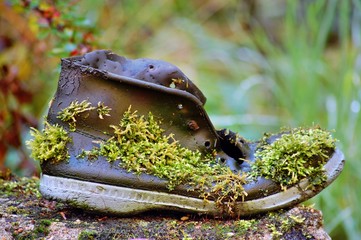 alter Schuh
