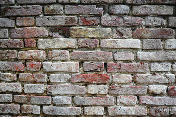 Brick Wall