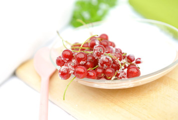 Johannisbeeren