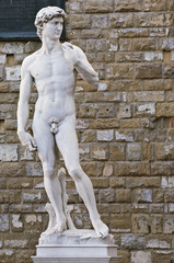 Obraz premium David di Michelangelo #3