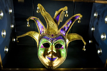 Mardi Gras Mask in Case